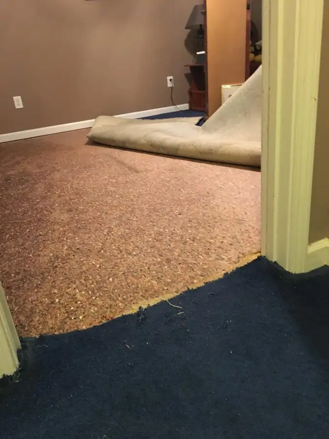 Carpet pad removal revealing water damage during Drying & Dehumidification in Albany