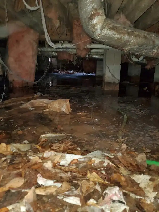 Crawl space flood assessment for Commercial Water Damage Restoration in Albany